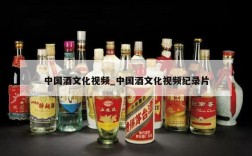 中国酒文化视频_中国酒文化视频纪录片